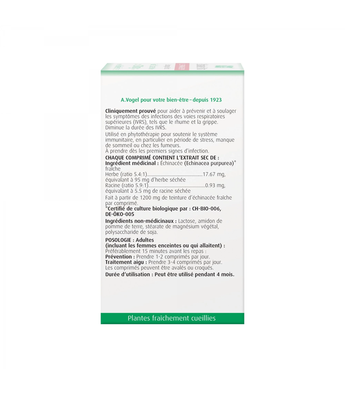 Echinaforce Extra 120 Tablets | Safest & Easiest Shopping Vitamins Online | VITASHOP
