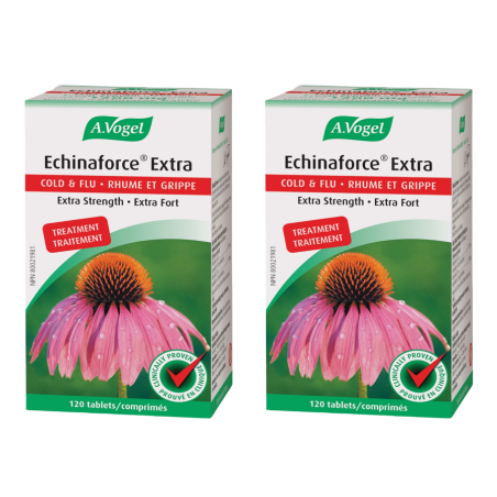 Echinaforce Extra 120 Tablets | Safest & Easiest Shopping Vitamins Online | VITASHOP