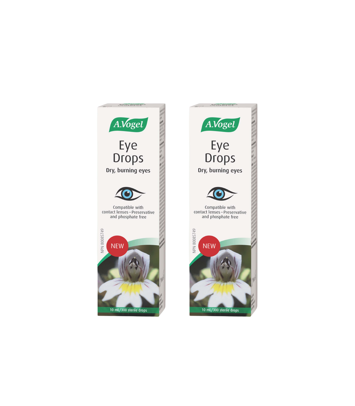 A. Vogel 에이보겔 안약 10ml | 매일 업데이트되는 특가 상품 | VITASHOP