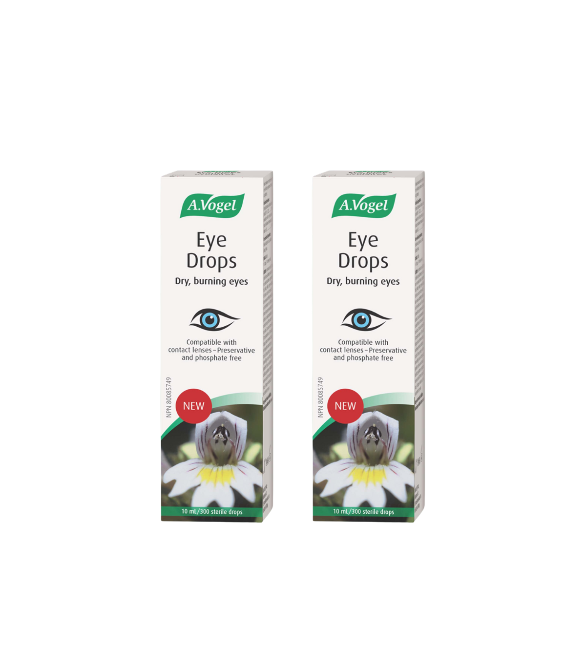 A. Vogel 에이보겔 안약 10ml | 매일 업데이트되는 특가 상품 | VITASHOP