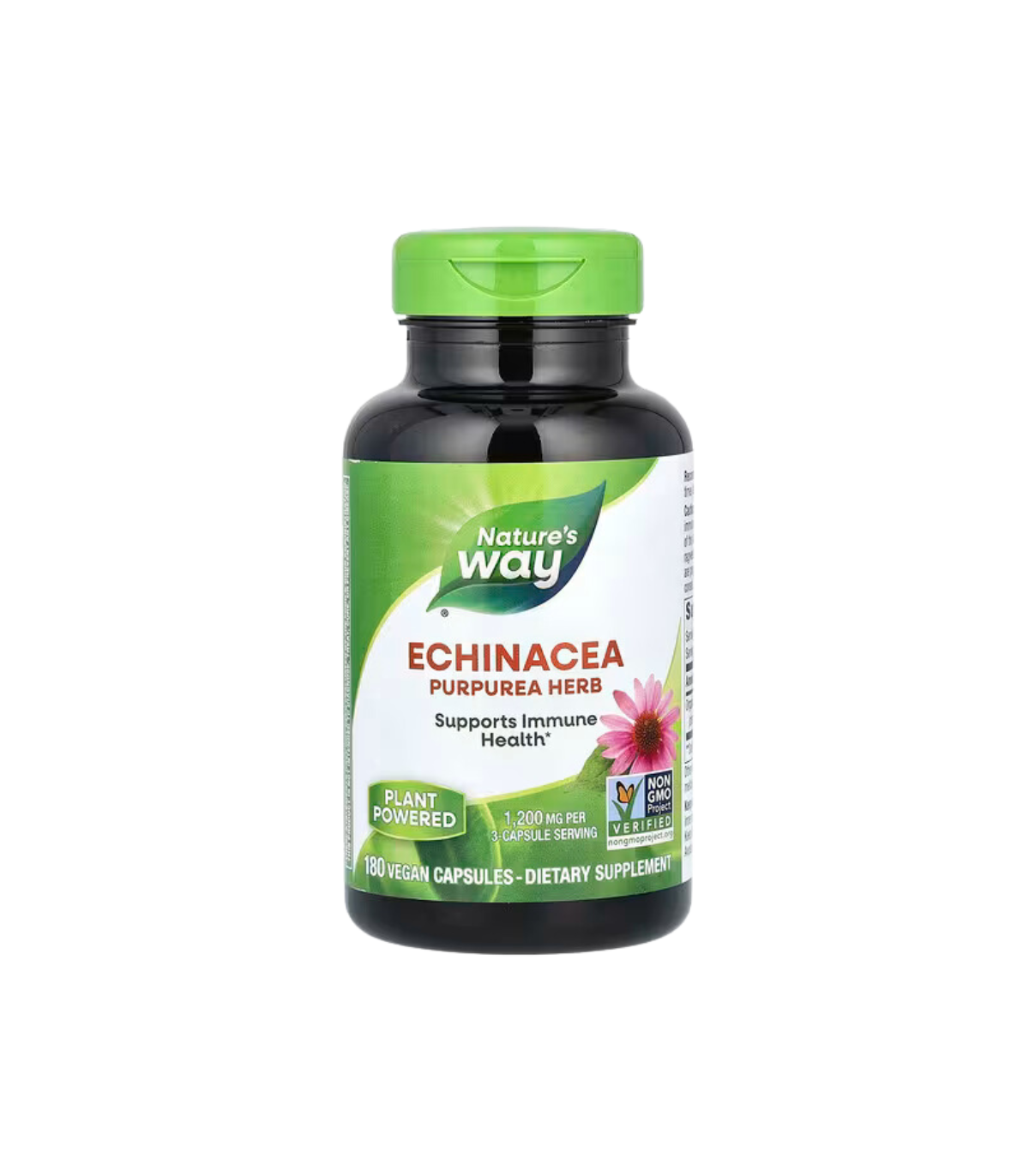 Nature's Way 네이처스 웨이 에키네시아 허브 180 식물성 캡슐 | 매일 업데이트되는 특가 상품 | VITASHOP