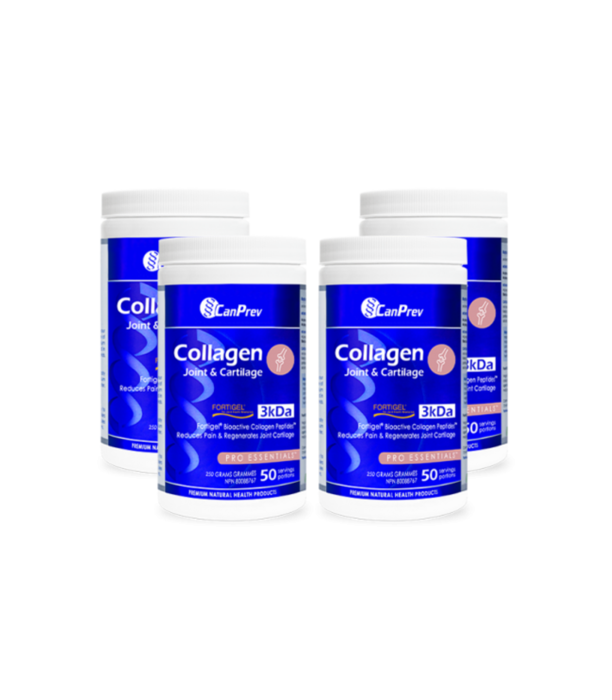CanPrev 캔프레브 콜라겐 관절 및 연골 분말 250g | 매일 업데이트되는 특가 상품 | VITASHOP