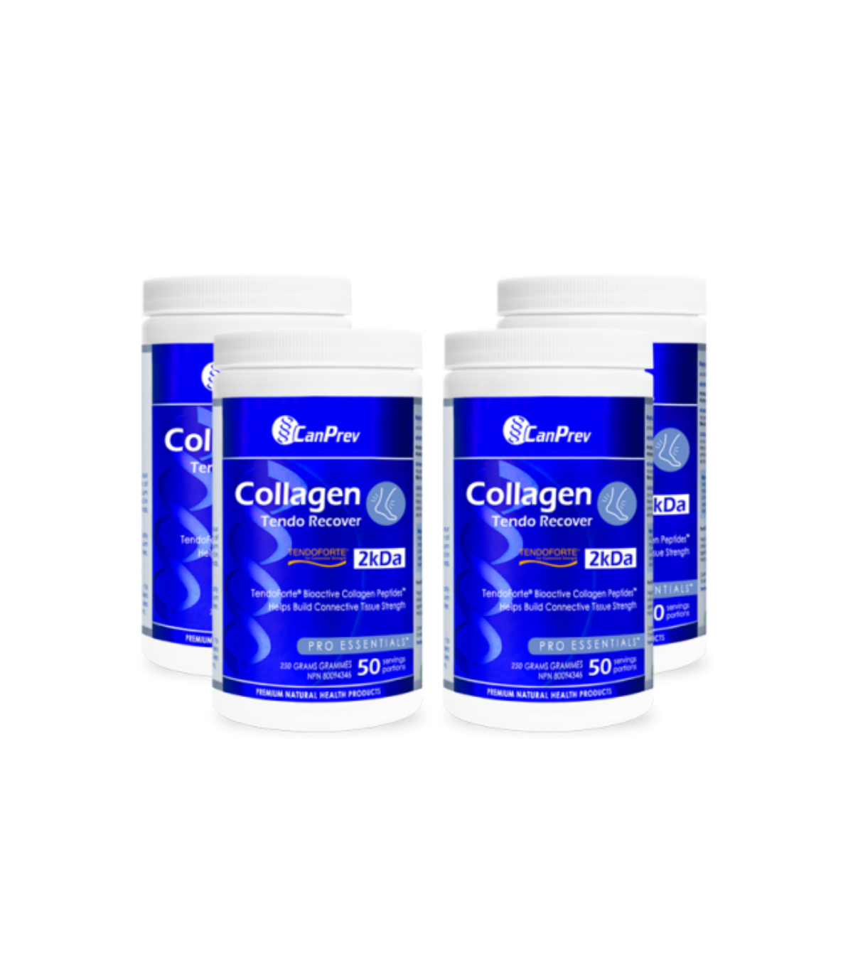 CanPrev 캔프레브 콜라겐 텐도 리커버 파우더 250g | 매일 업데이트되는 특가 상품 | VITASHOP