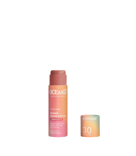 위도 PHYTO-SUN 입술 발름 SPF 30 아연 산화물 테라코타 0.3 oz