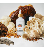 RAINBO 11:11 Multi Champignon Tincture