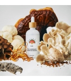RAINBO 11:11 Multi Mushroom Tincture