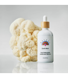 RAINBO 사자 Mane 두뇌 힘 버섯 Tincture 100 mL