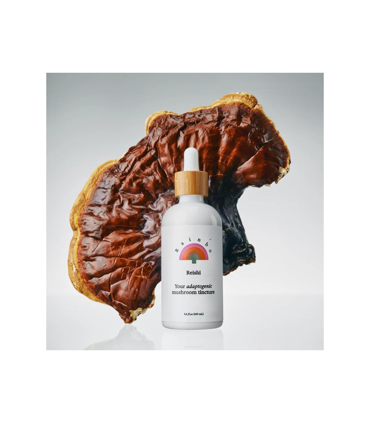 RAINBO Tincture de champignon Adaptogène Reishi 100 mL