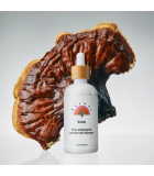 RAINBO 소개 Reishi Adaptogenic 버섯 열 100 mL