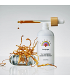 RAINBO Cordyceps Energizing Mushroom Tincture 100 mL