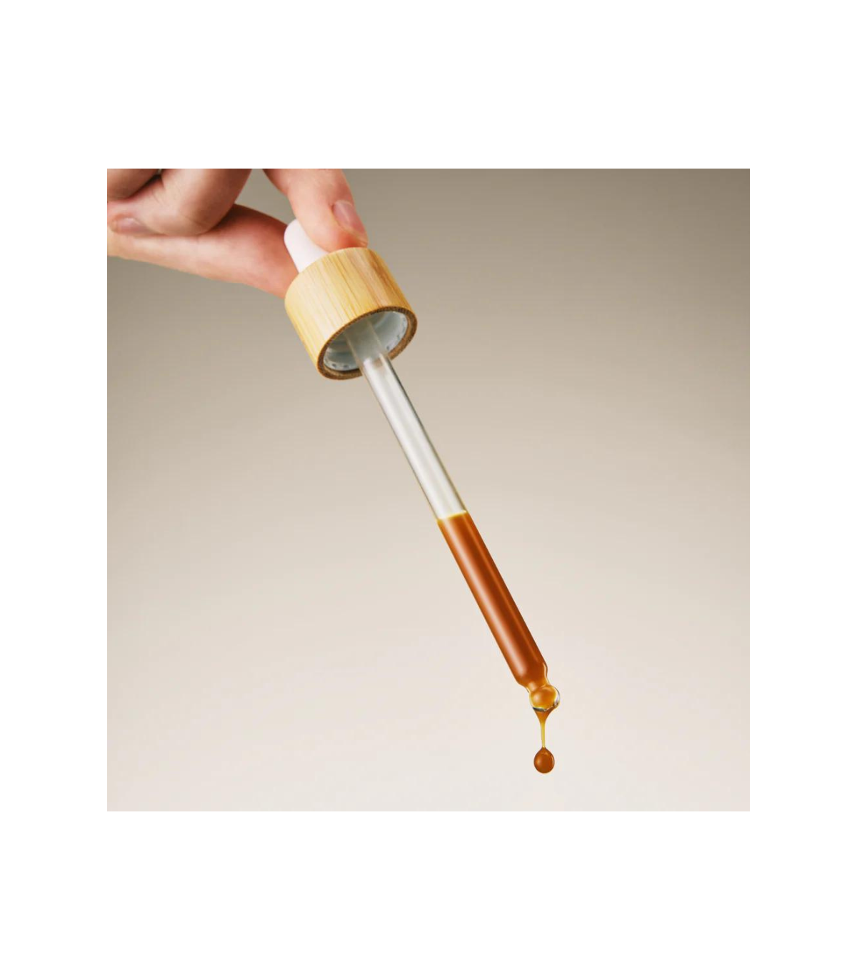 RAINBO 11:11 Multi-Mushroom Tincture * sans alcool* 100 mL