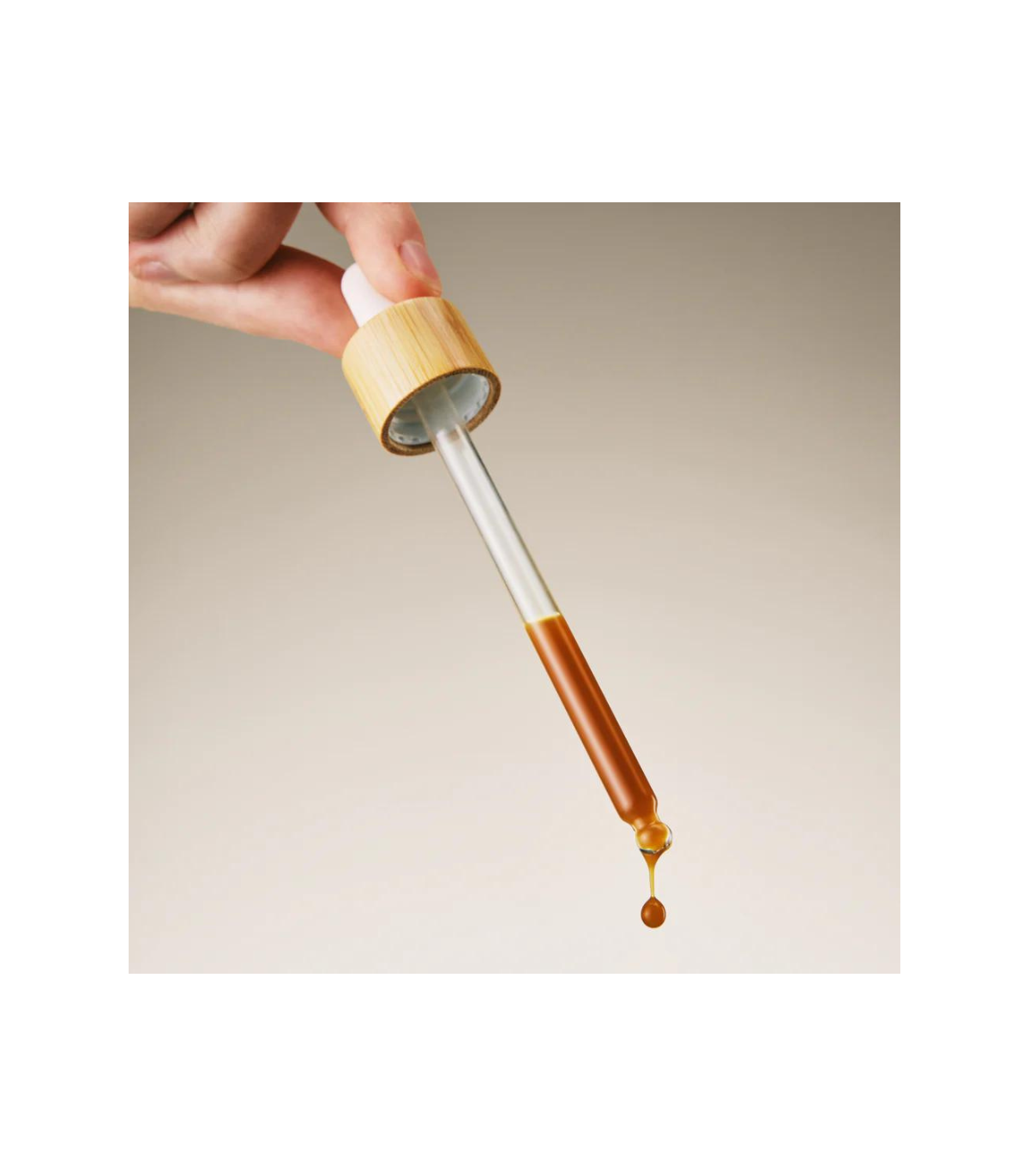 RAINBO 11:11 Multi-Mushroom Tincture *alcohol-free* 100 mL