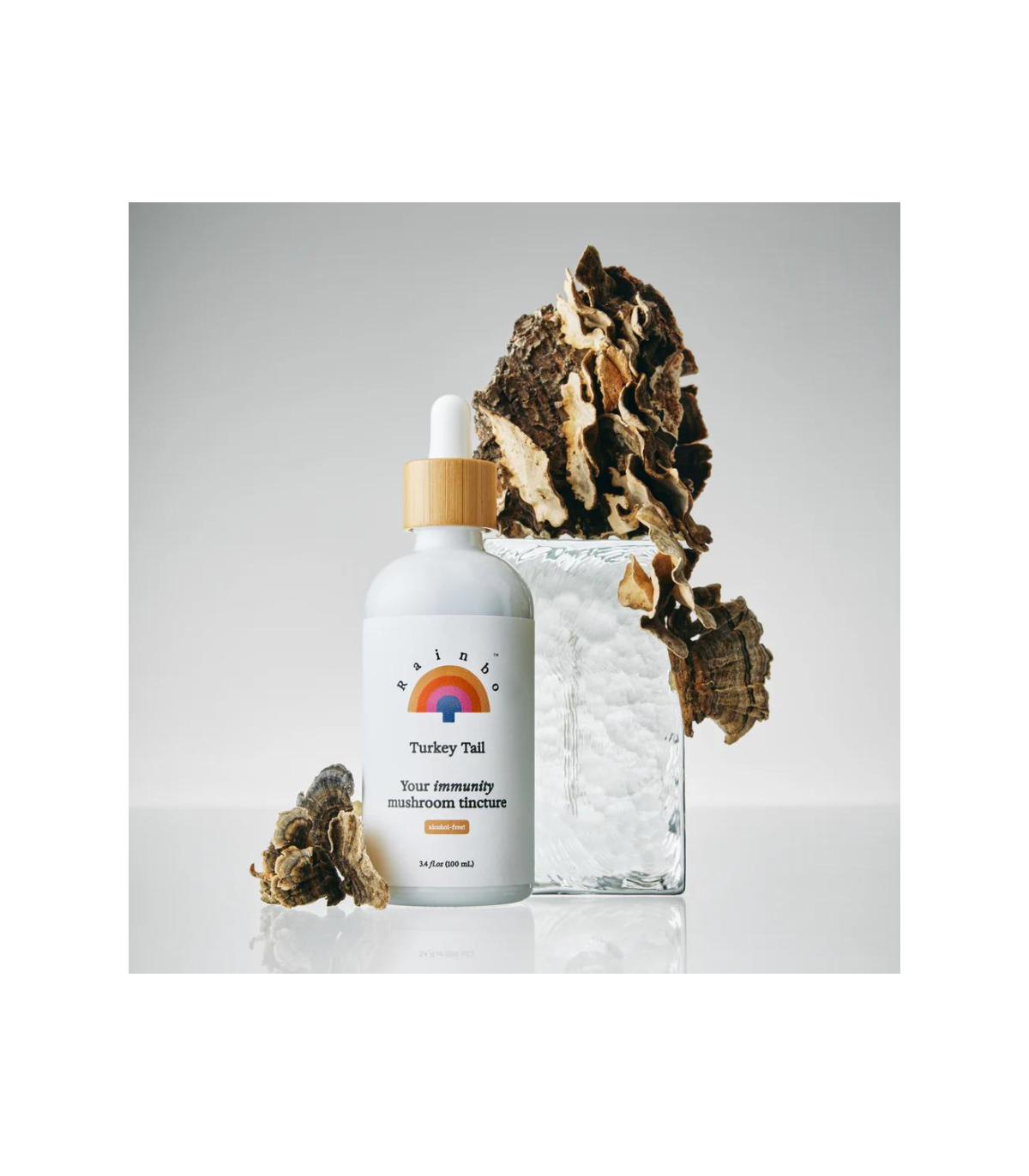 RAINBO Turquie Tail Immunity Mushroom Tincture * sans alcool* 100 mL
