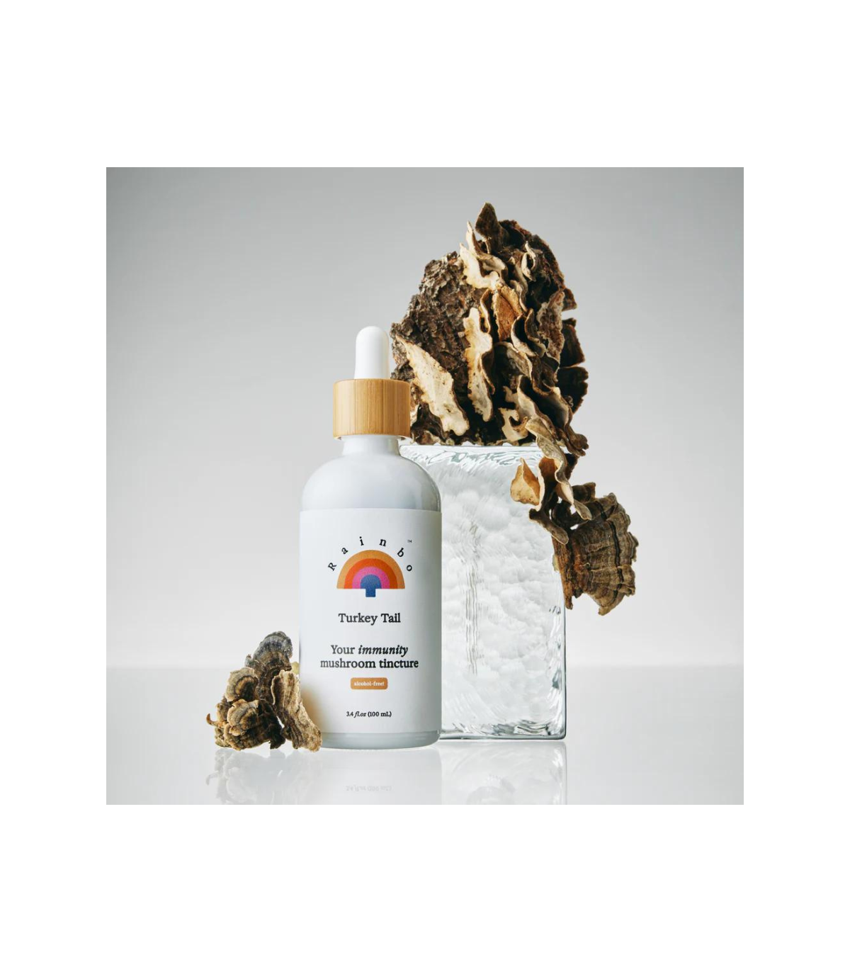 RAINBO 소개 터키 꼬리 Immunity 버섯 Tincture *alcohol 자유로운 * 100개 mL