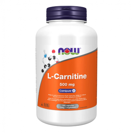 NOW Foods L-Carnitine 500 mg, 180 Capsules | Unbeatable Prices, Daily Deals | VITASHOP