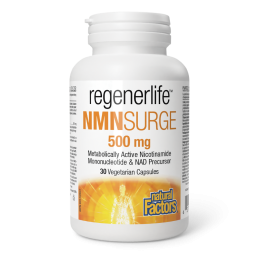 Natural Factors NMNSurge 500mg 30 capsules végétariennes