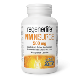 Natural Factors NMNSurge 500mg 30 채식 캡슐