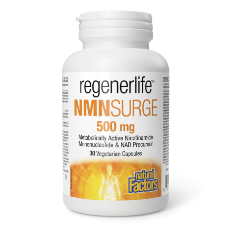 Natural Factors NMNSurge 500mg 30 capsules végétariennes