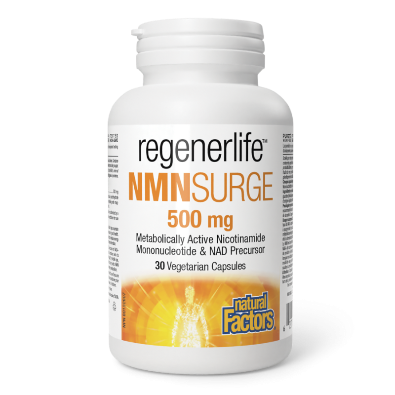Natural Factors NMNSurge 500mg 30 capsules végétariennes