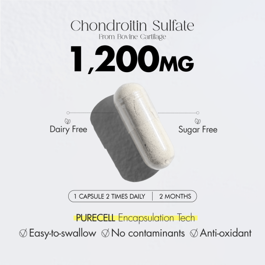 INNO NUTRITION Chondroitin 1200mg 120 Capsules | 每天不同折扣, 全网最低价格 | 种类齐全的保健品店铺 VITASHOP, 只有你想不到, 没有你买不到 !