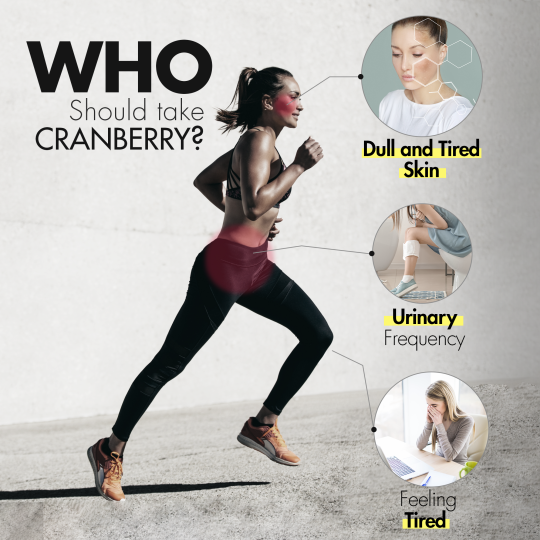 INNO NUTRITION Cranberry 600mg 120VCaps | Unbeatable Prices, Daily Deals | VITASHOP