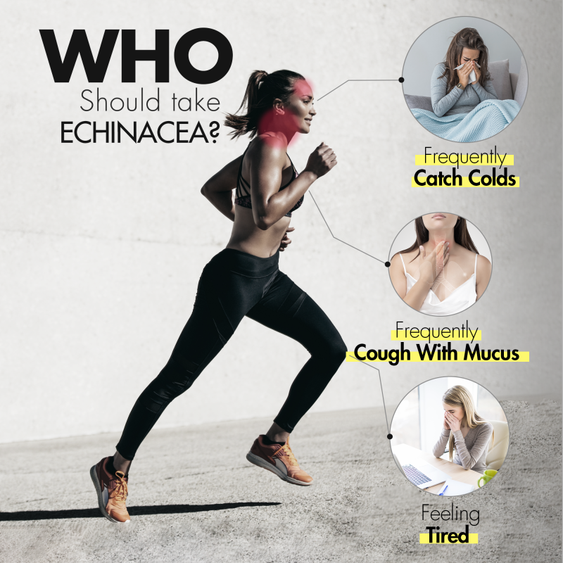 Echinacea 10X 90 Capsules