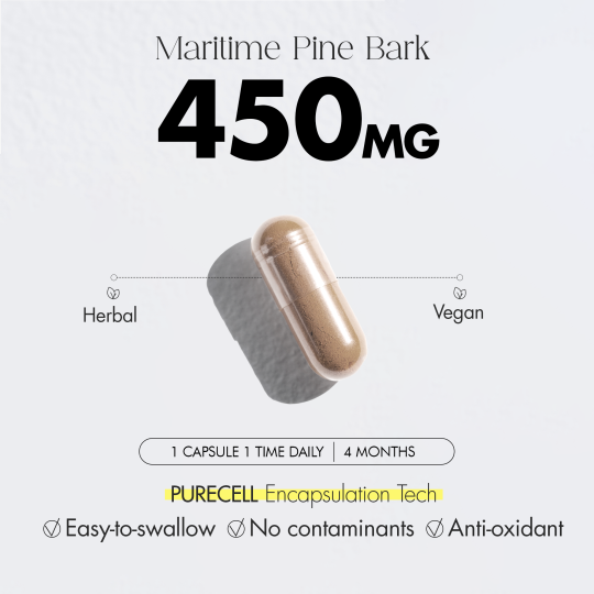 INNO NUTRITION French Maritime Pine Bark 120Caps | Unbeatable Prices, Daily Deals | VITASHOP