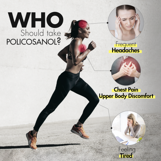 INNO NUTRITION Policosanol 40mg 120 Capsules | 每天不同折扣, 全网最低价格 | 种类齐全的保健品店铺 VITASHOP, 只有你想不到, 没有你买不到 !