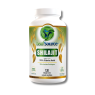新建 Leaf Source Shilajit 120 Vegi Capsules 不可战胜的价格,每日交易 VITASHOP