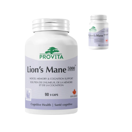PROVITA Lion's Mane 5000 90 Capsules | Unbeatable Prices, Daily Deals | VITASHOP