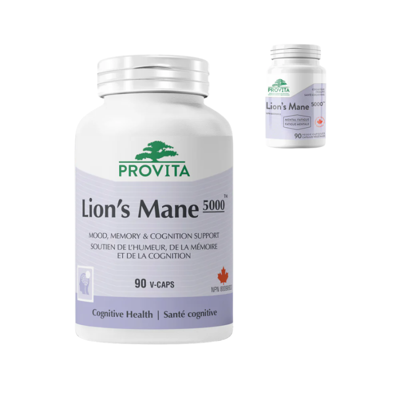 PROVITA Lion's Mane 5000 90 Capsules | Unbeatable Prices, Daily Deals | VITASHOP