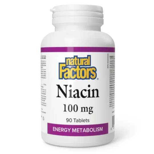 Natural Factors 내추럴 팩터스 비타민 B3 100mg, 90정 | 매일 업데이트되는 특가 상품 | VITASHOP