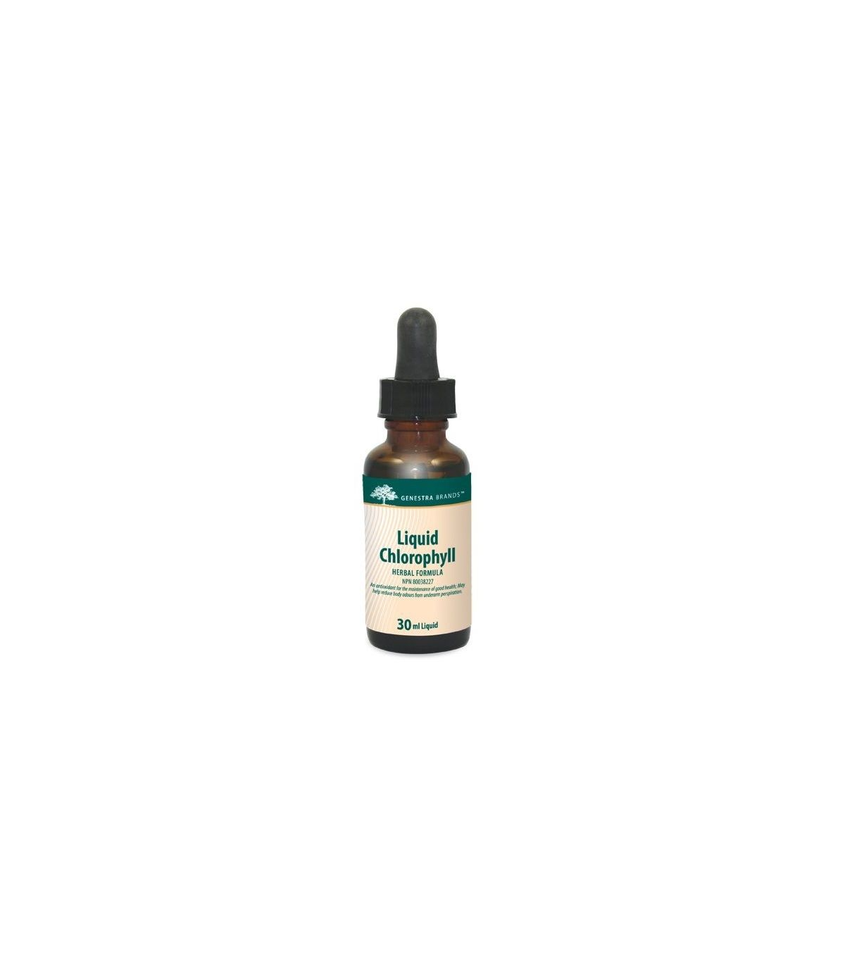 Genestra 엽록소 액체 30ml | 뛰어난 가격, 일일 특가 | VITASHOP
