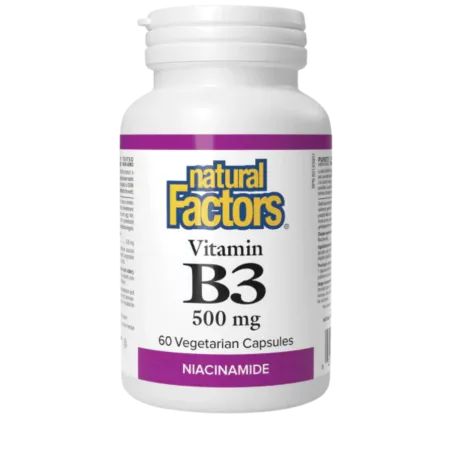 Natural Factors Vitamine B3 500 mg Niacinamide, 60 Capsules Végétales | Prix imbattables, Offres quotidiennes | VITASHOP