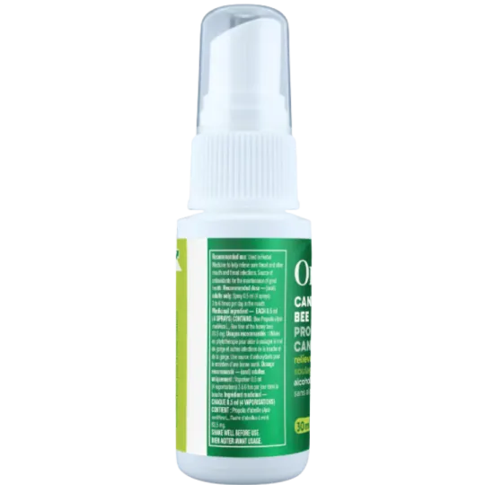 Organika Bee Propolis Throat Spray Alcohol Free 30 ml | Unbeatable Prices, Daily Deals | VITASHOP