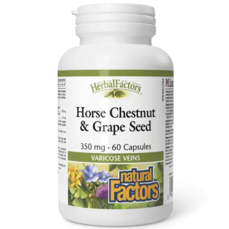 Natural Factors 내추럴 팩터스 HerbalFactors 마로니에 & 포도씨 350 mg, 60 캡슐 | 매일 업데이트되는 특가 상품 | VITASHOP