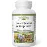 Natural Factors 내추럴 팩터스 HerbalFactors 마로니에 & 포도씨 350 mg, 60 캡슐 | 매일 업데이트되는 특가 상품 | VITASHOP