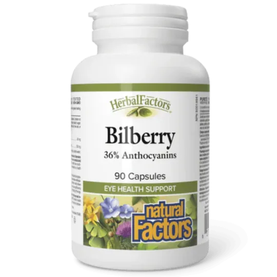 Natural Factors 내추럴 팩터스 HerbalFactors 빌베리, 90 캡슐 | 매일 업데이트되는 특가 상품 | VITASHOP