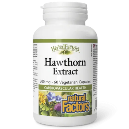 Natural Factors 내추럴 팩터스 HerbalFactors 산사나무 추출물 300mg, 식물성 캡슐 60정 | 매일 업데이트되는 특가 상품 | VITASHOP