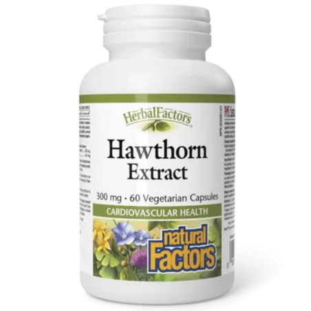 HerbalFactors Extrait d’aubépine 300 mg, 60 capsules végétariennes | Safest & Easiest Shopping Vitamins Online | VITASHOP