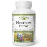 Natural Factors 내추럴 팩터스 HerbalFactors 산사나무 추출물 300mg, 식물성 캡슐 60정 | 매일 업데이트되는 특가 상품 | VITASHOP