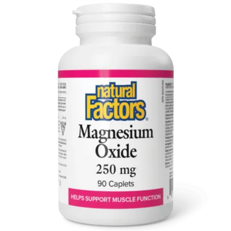 Natural Factors 내추럴 팩터스 산화마그네슘 250mg, 90정 | 매일 업데이트되는 특가 상품 | VITASHOP