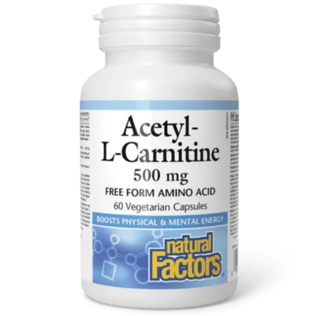 Natural Factors 내추럴 팩터스 아세틸-L-카르니틴 500mg, 식물성 캡슐 60정 | 매일 업데이트되는 특가 상품 | VITASHOP
