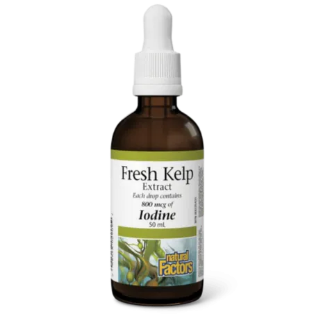 Natural Factors 내추럴 팩터스 신선한 다시마 추출물 800mcg, 50mL 액체 | 매일 업데이트되는 특가 상품 | VITASHOP
