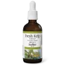 Natural Factors 내추럴 팩터스 신선한 다시마 추출물 800mcg, 50mL 액체 | 매일 업데이트되는 특가 상품 | VITASHOP