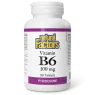 Vitamine B6 100 mg, 90 comprimés | Safest & Easiest Shopping Vitamins Online | VITASHOP