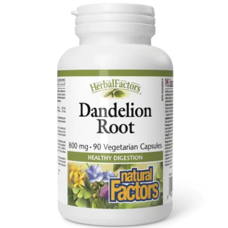 Natural Factors 내추럴 팩터스 HerbalFactors 민들레 뿌리 800mg, 식물성 캡슐 90정 | 매일 업데이트되는 특가 상품 | VITASHOP