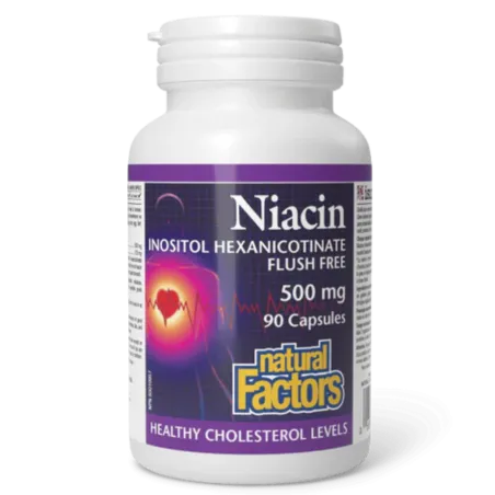 Natural Factors 내추럴 팩터스 나이아신 이노시톨 헥사니코티네이트 500 mg, 90 캡슐 | 매일 업데이트되는 특가 상품 | VITASHOP