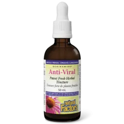 ECHINAMIDE Anti-Viral Puissante Teinture à base de plantes fraîches | Safest & Easiest Shopping Vitamins Online | VITASHOP