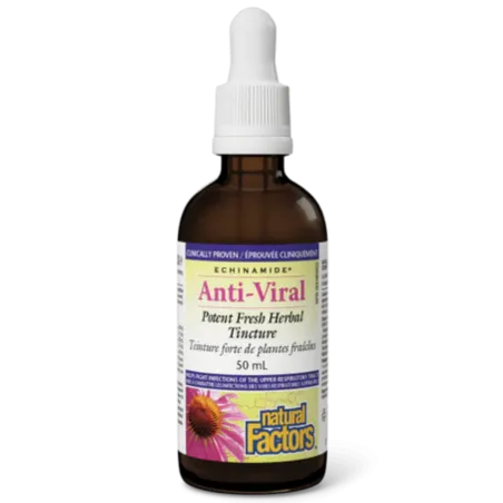 Natural Factors 내추럴 팩터스 ECHINAMIDE 항바이러스 효능이 있는 신선한 허브 팅크제, 50mL | 매일 업데이트되는 특가 상품 | VITASHOP